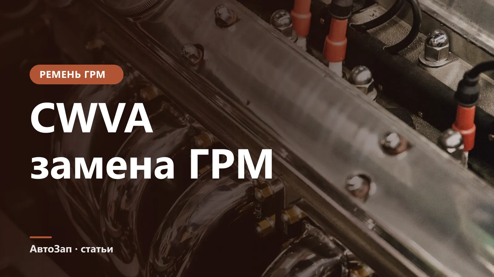 Замена ремня ГРМ на двигателе CWVA — сроки, комплект, нюансы